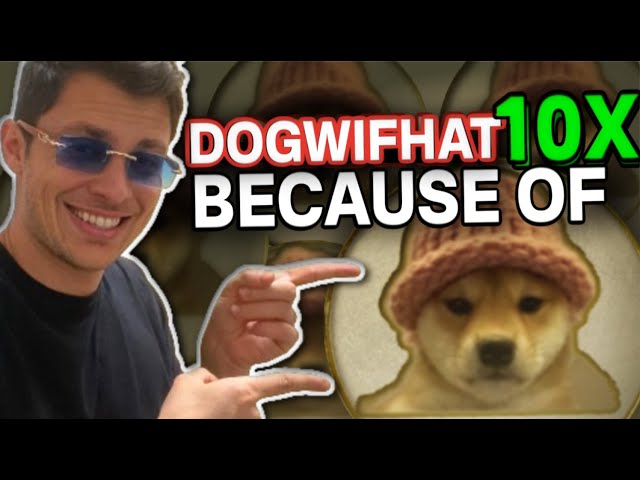 DOGWIFHAT ($WIF) MEME 硬币价格很快就会上涨 10 倍，因为这个简单的点！！！