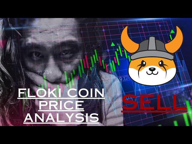 フロキイヌコイン | FLOKI コイン価格分析 #floki #flokicoin