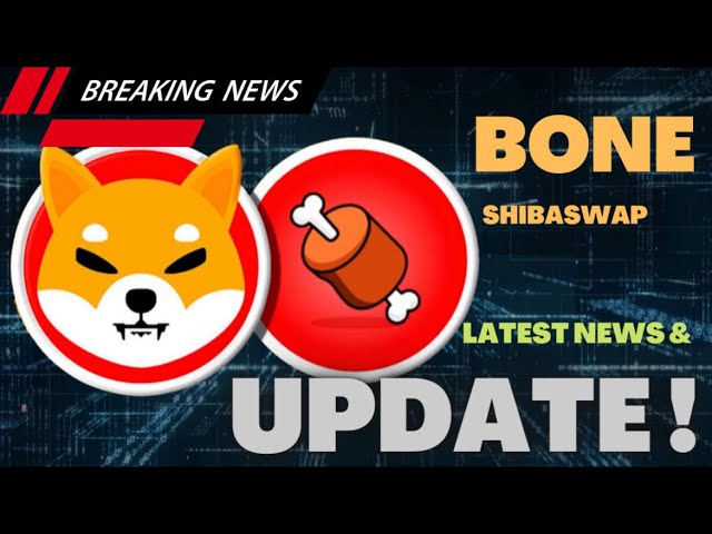 Shib 燃烧呈抛物线！！主要柴犬硬币新闻揭晓！希布军队来了！！！