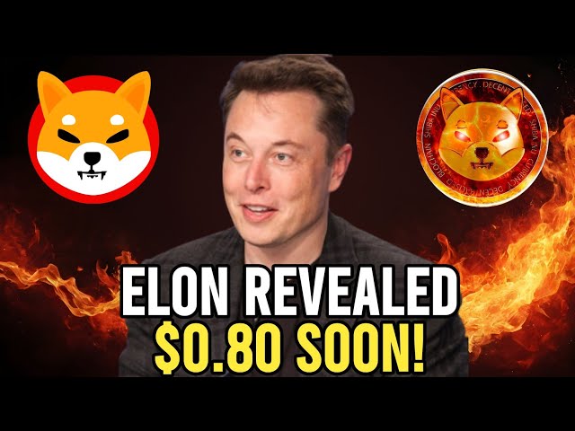 Elon Musk 공개: Shiba Inu 코인이 비트코인을 대체하는 방법! SHIB 가격이 곧 급등할 것입니다!!