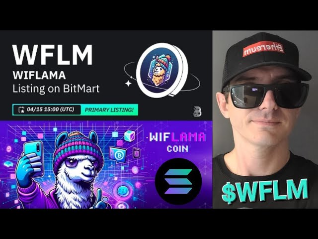 $WFLM - WIFLAMA 토큰 암호화폐 비트마트 SOL SOLANA WFLM WIF LAMA WIFHAT RAYDIUM JUPITER HAT MEME