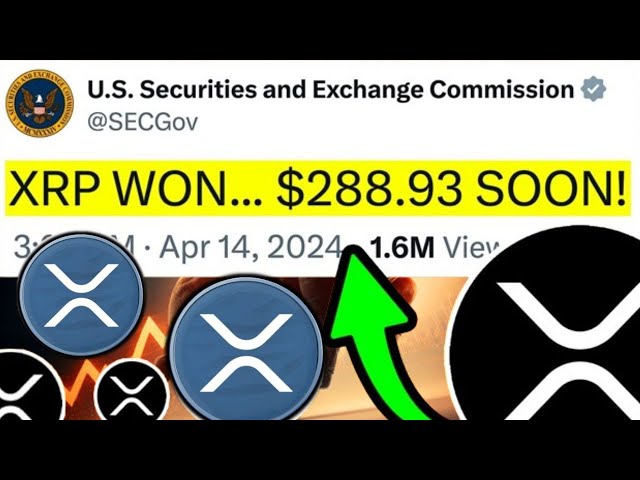 1분 전 RIPPLE CEO에게 합의 제안!!! ($288.93 승인됨) - 오늘의 리플 XRP 뉴스