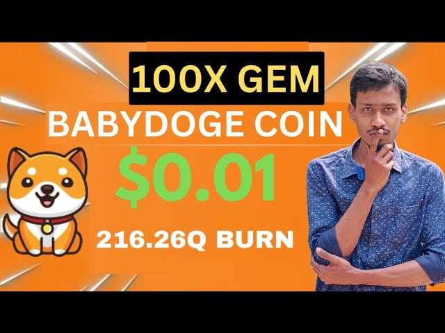 Baby Dogecoin $0.01 | 216.26Q Burning | BabyDoge Coin Price Pump 100x | Binance Listing