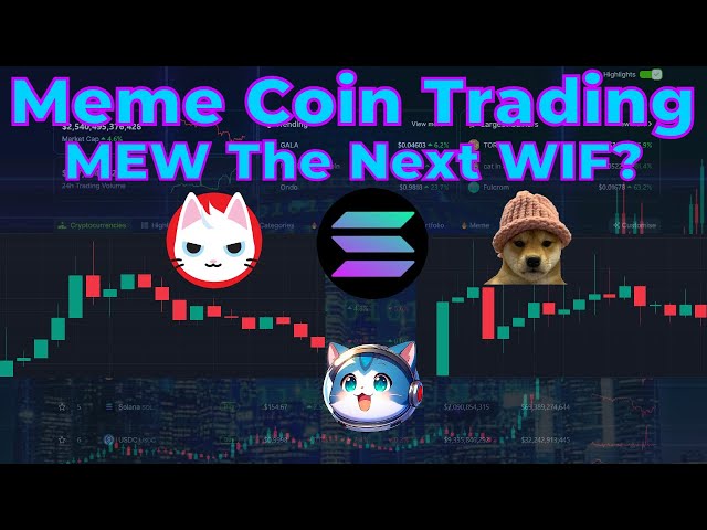 ソラナミームコイン取引 | $MEW 次の $WIF?ミームコインで利益を上げる方法 |スイングトレーディング $WEN