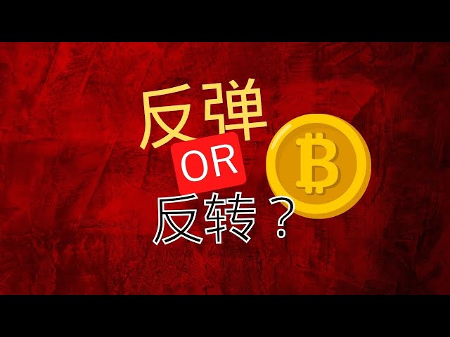 Has Bitcoin bottomed out? Is this a rebound or a reversal? | Currency Circle |Bitcoin Market Analysis|BTC ETH|Miki