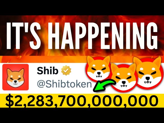 2 283 700 000 000 $ DISPARUS DE SHIBA INU ! FIN DE L'HISTOIRE DES BALEINES SHIB ! - NOUVELLES DES PIÈCES SHIBA INU D'AUJOURD'HUI