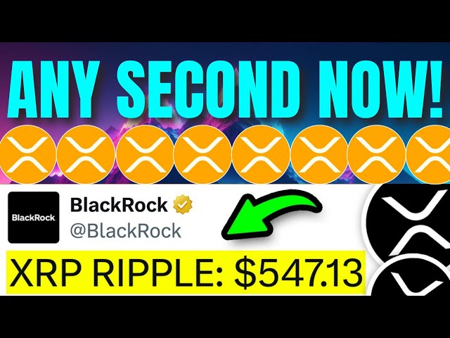 ブラックロックがすべてを購入しました!!!いつでも $547.13 !!! - 今日のリップル XRP ニュース