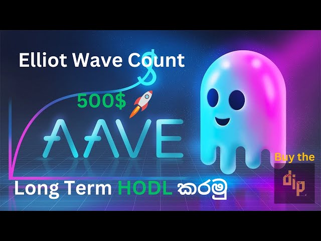 HODL AAVE Coin / AAVE Coin 長期投資 / AAVE Coin 長期エリオット波動アップデート