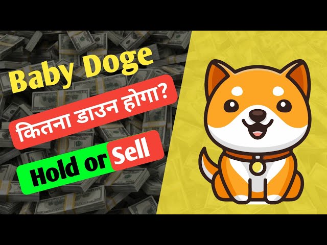 Baby Doge 持有還是出售？ |加密貨幣市場更新 |所有比特幣