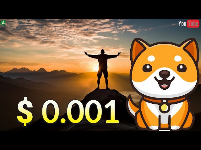 Baby Doge 코인 반감기 | BullRun 2024 분석