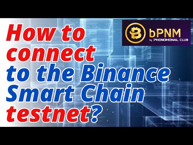 bPMN token. How to connect to the Binance Smart Chain testnet❓