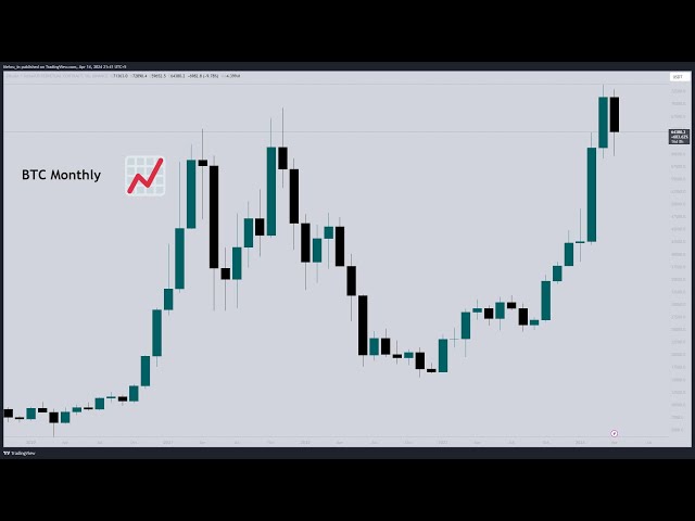 Live-Bitcoin-Analyse und Updates | BTC-Halbierung – was kommt als nächstes? | Mehran Khan