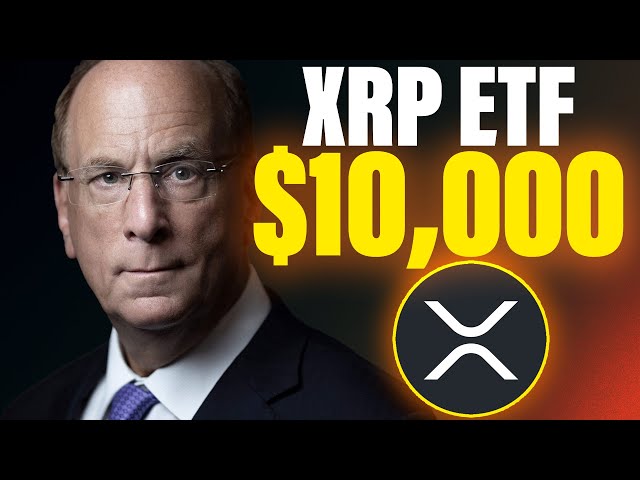 XRP 리플: XRP ETF를 위한 BLACKROCK 준비 완료($10,000 XRP 프로그래밍됨!)