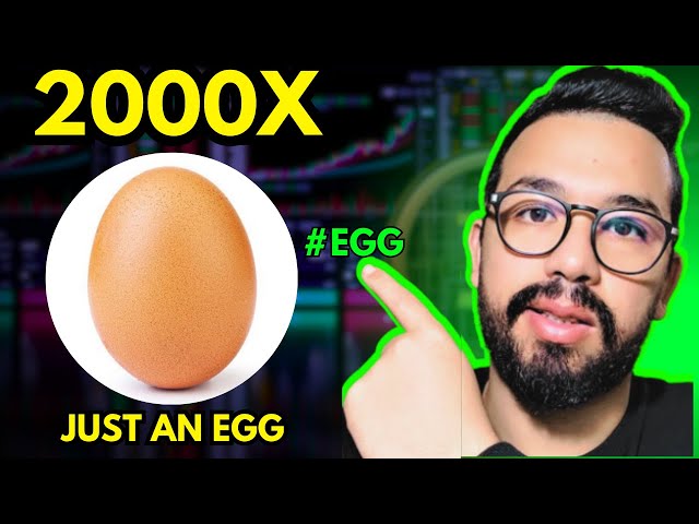 그냥 달걀 #egg #memecoin 다음 백만장자 메이커!!!