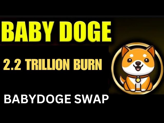 寶貝狗狗幣今日新聞 | 2.2萬億燃燒| BabyDoge 硬幣價格幫浦 |幣安上線