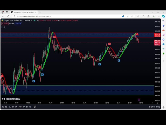 Live streaming of DOGE coin scalping | High volume trading crypto currency