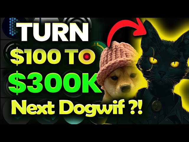 🔥次のDOGWIFHAT - 1st BNBミームコイン - CATAMOTO 100X Crypto Gem ?!🔥🔥🔥 AIやRWA暗号よりも優れています??🚀🚀