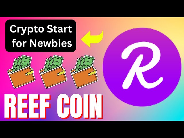 REEF COIN 기술 분석! REEF COIN 최신 진입 및 퇴장 업데이트! 리프 코인 차트 분석