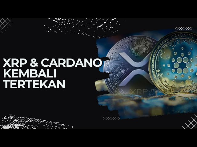 [XRP | IL Y A]🚨MISE À JOUR MAJEURE🚨CARDANO ET XRP DE RETOUR SOUS PRESSION | VERS LA GAMME DE LA ZONE D'ACCUMULATION | #DYOR