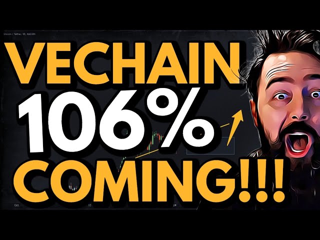 VECHAINはプロのように持ちこたえる!!!獣医による価格予測と仮想通貨分析!!!