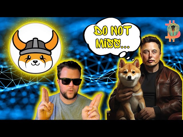 🚀 BabyDoge Price Prediction 2024: What Experts Won't Tell You!💎