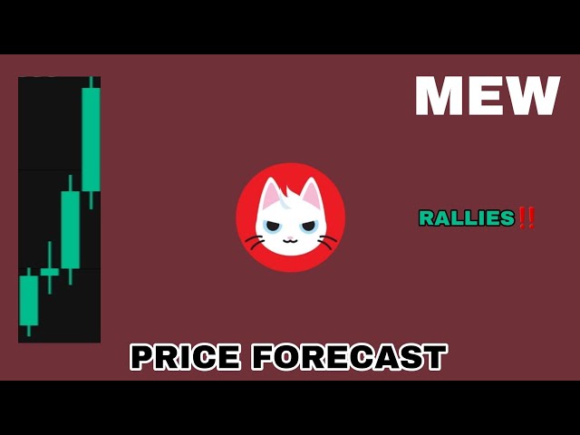 MEW 币 2024 年大涨‼️ 猫狗世界价格预测‼️ MEW 现在是顶级 MEME 币