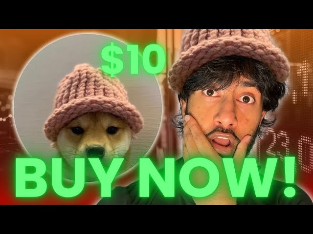 DOG WIF HAT CAN HIT $10 VERY SOON?? (BUY NOW!) $WIF IS THE BEST SOLANA MEME COIN