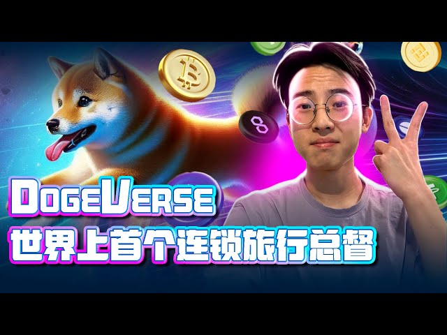 Dogeverse: Multi-chain meme coins take off! 🌟