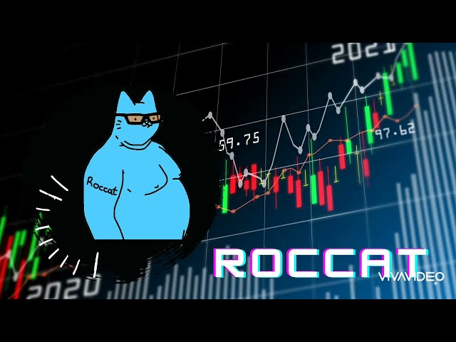 Roccat 代币在预售中具有 100 倍的潜力 #roccat #shiba #bone #bitcoin #etherium #xrp #avax #doge