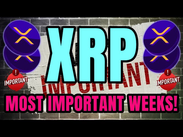 XRP 瑞波 這是我們最重要的一周之一！ XRP 今日最新消息