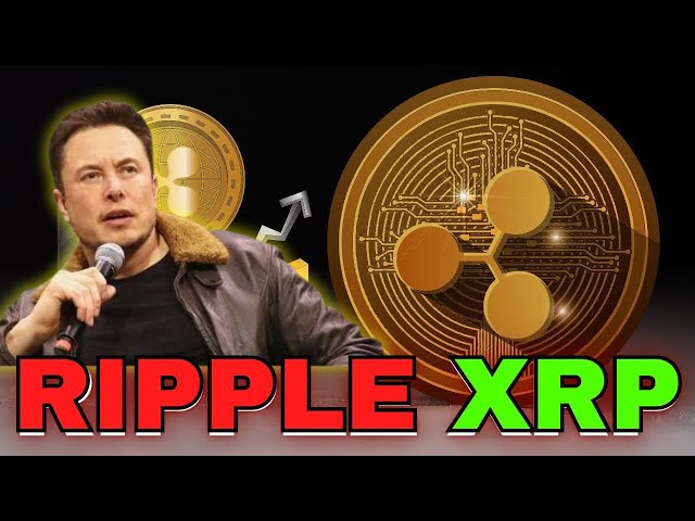 오늘 XRP에 대한 뉴스 Elon Musk와 Larry Fink가 승리할 것이라고 알고 있습니다. 그것을 무시하면 안 된다