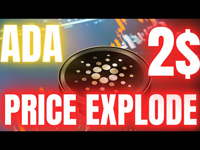 Cardano 가격은 2024년에 폭발적으로 $1.8 연말 ADA 가격 분석 || ADA 가격 예측