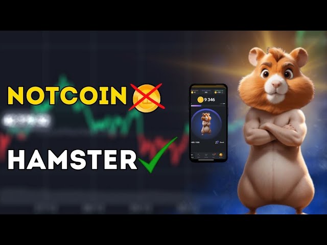 새로운 수입 HAMSTER KOMBAT - 또 하나의 신선한 슬리퍼. #kombat #notcoin #코인 #btc