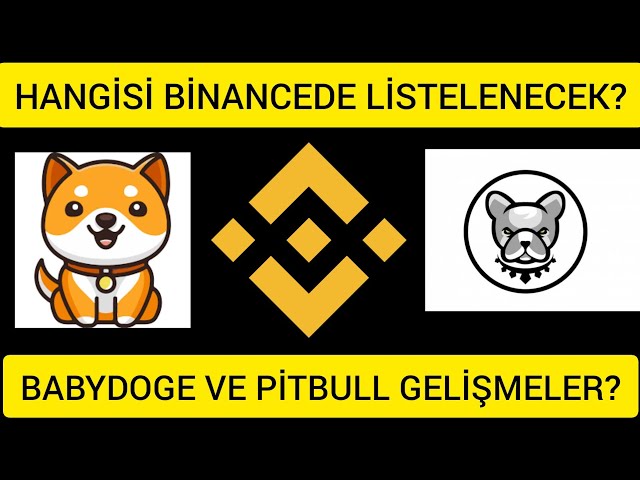 為什麼 BABYDOGE COIN 和 PITBULL COIN 的幣安上市非常重要？狗狗幣最新動態！