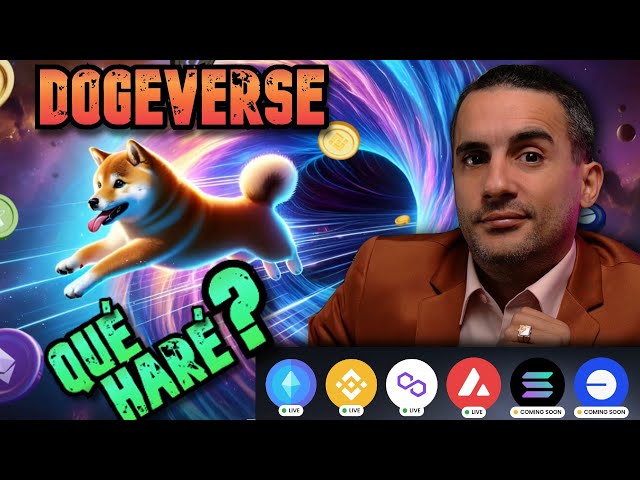 DOGEVERSE: NEXT EXPLOSIVE MEME? | GIVEAWAY $25 USDT | PRE-SALES ANALYSIS 2024