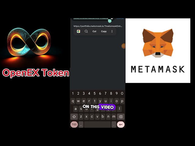 如何将 OEX 测试网添加到 Metamask |如何将 OEX 代币添加到 Metamask