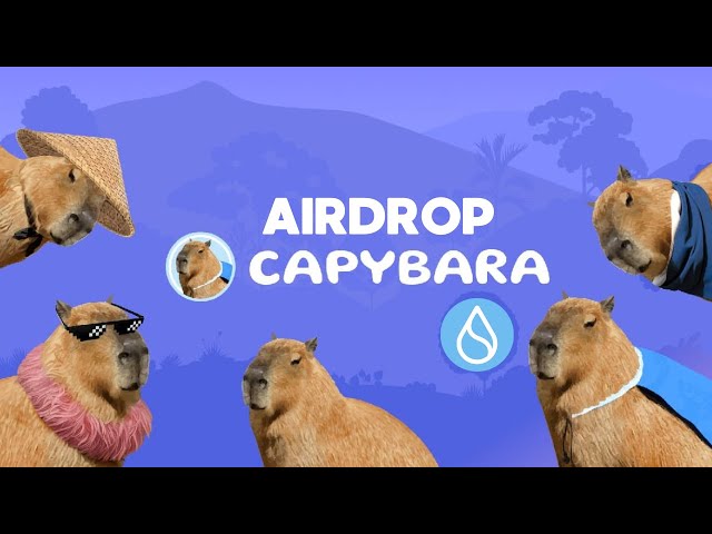 SUI NETWORK に新しい MEME COIN - (SUI 上の Capybara)