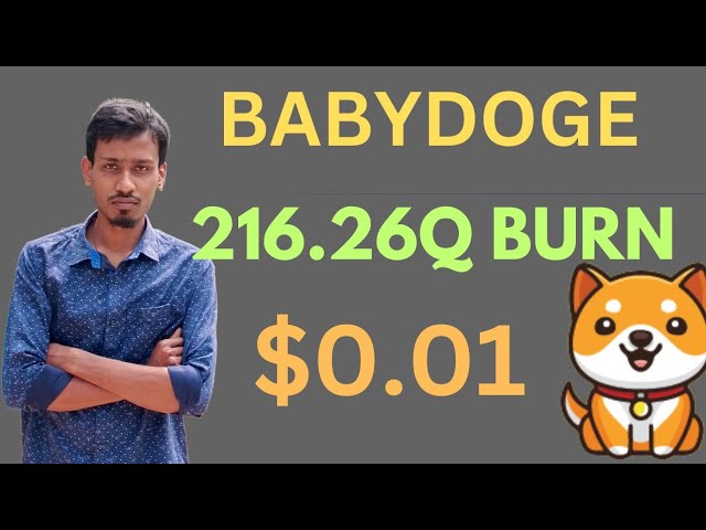 ベイビードージコインビッグニュース | 216.26Q バーン | BabyDoge コイン価格ポンプ |バイナンスのリスト