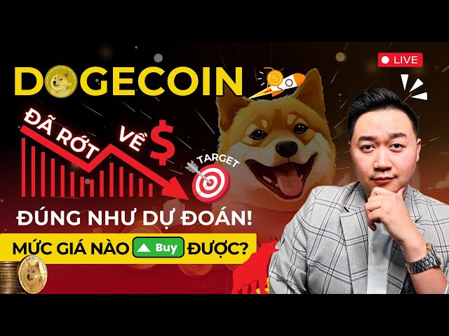 DOGE 코인이 예상대로 목표에 떨어졌습니다! 어떤 가격에 구입할 수 있나요?