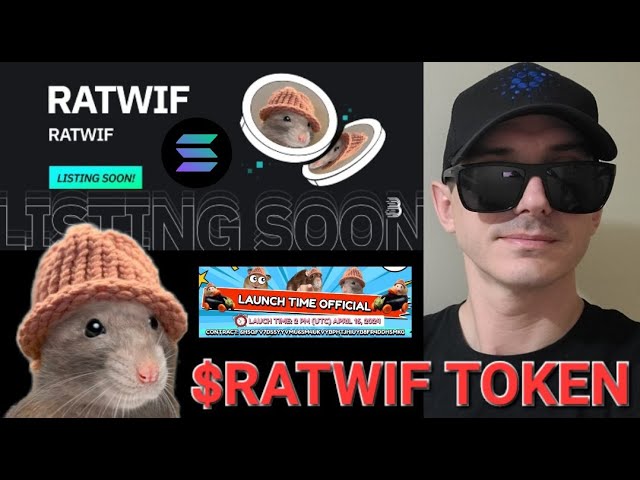 $RATWIF - RATWIF 토큰 암호화폐 SOL SOLANA RAT WIF HAT RAYDIUM BITMART JUPITER WIFHAT MEME ORCA