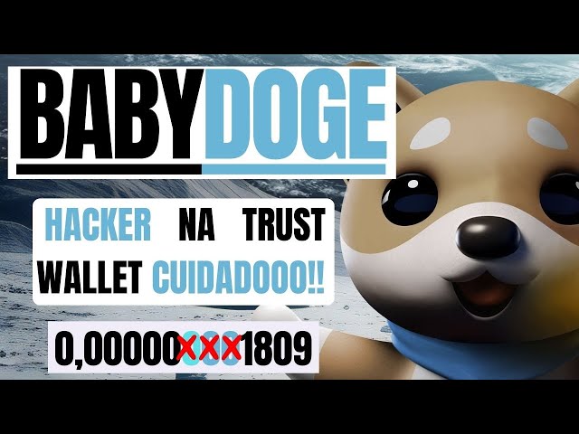 🔥BABY DOGE COIN // 当心信托钱包的黑客🔥#babydogecoin #btc 3#babydoge