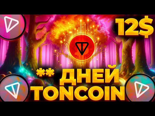 距离 TONCOIN 起飞还剩 ** 天！ TONCOIN开发计划！通币 12 美元！