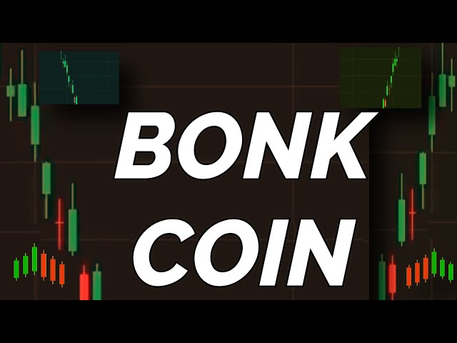 BONK COIN 가격 예측 뉴스 오늘 4월 17일