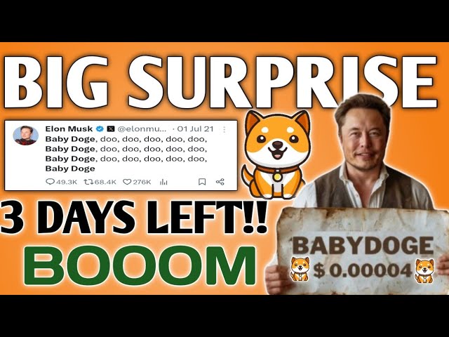 BABY DOGECOIN🤯 ELON MUSK UNTERSTÜTZUNG NOCH 3 TAGE !!🤑100X = 1000X😱COIN BRAKINGNEWS HEUTE PREISVORHERSAGE