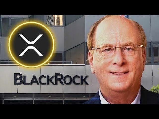 RIPPLE XRP BLACKROCK NOUS A MENTI TOUT LE TEMPS !!!! #xrp #ondulation