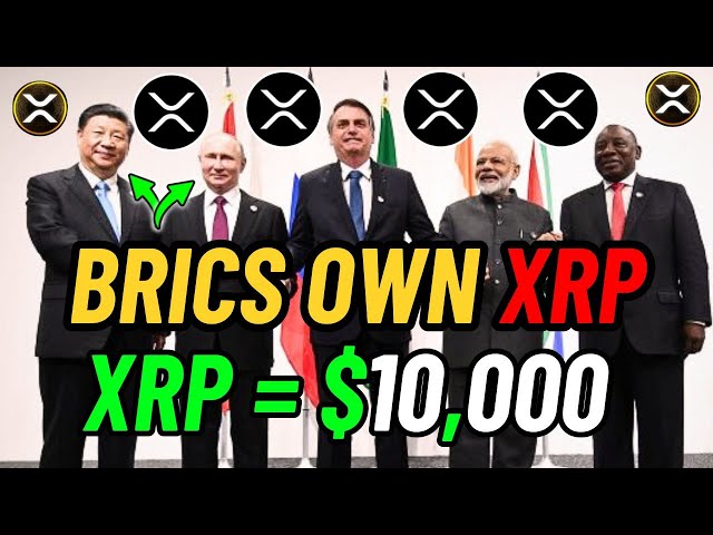 BRICSは全員XRPの所有者です!フォーブスは10,000XRPを報告しました！ (分割)