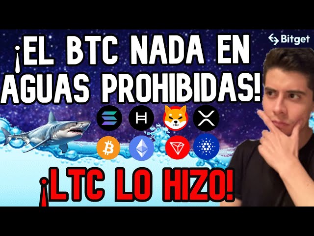 🔴 비트코인은 오늘날의 함정에 빠지지 마세요! CARDANO(ADA) SOLIDO 및 MATIC, SOLANA YA CASI 및 ETHEREUM