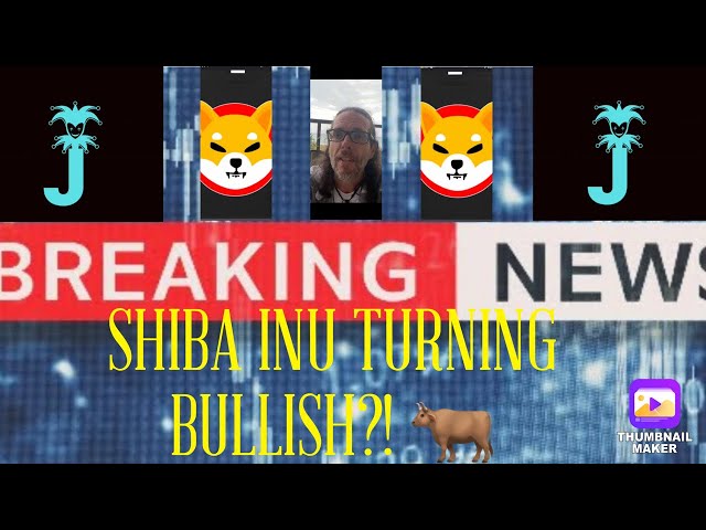 柴犬コイン |シブが強気に転じる?! |今日のシブニュース |今日のSHIB価格 |シブバーンチャンネル |