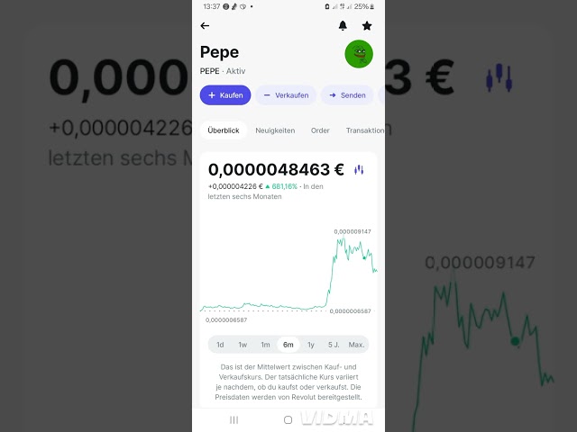 Pepe Coin Info Video 2024 German