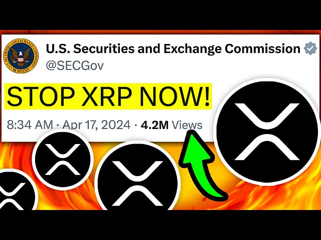 2分前: XRPリップル恥ずかしい秒!!! (XRP が再び勝利!) - 今日のリップル XRP ニュース